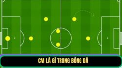 CM Là Gì Trong Bóng Đá? Tìm Hiểu “Trái Tìm” Tuyến Giữa